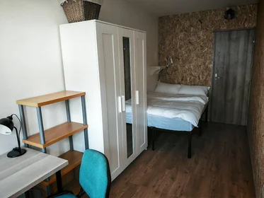 Chambre privée à Angers, 49100, image 19 de 23