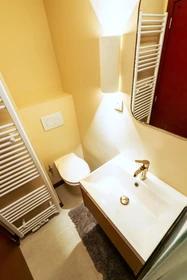 Habitación privada en Lange van Sterbeeckstraat, imagen 20 de 24