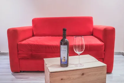 Entire apartment at Braće Nedić 11, image 4 of 17