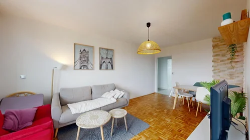 Private room at 5 Boulevard Du Recteur Jean Sarrailh, image 6 of 40