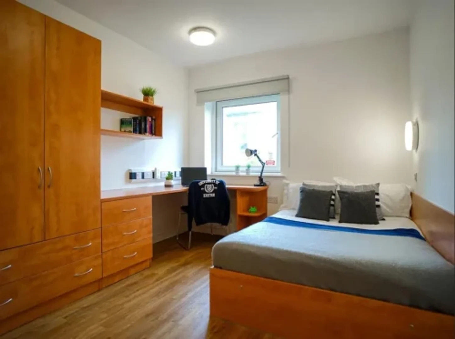 Chambre d'étudiant fonctionnelle parfaite pour étudier dans 