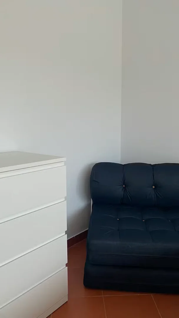 Przytulny pokój dla studentów dostępny w 