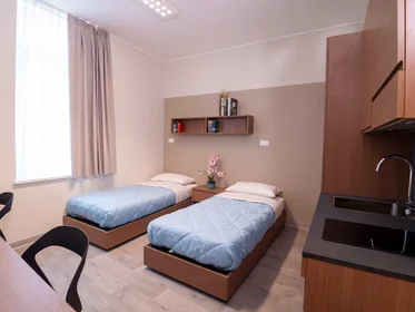 Chambre partagée à Via Daniele Manin, , image 3 de 10