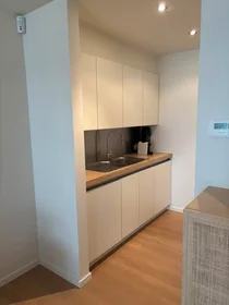 Appartamento intero in Ketelvest, Binnenstad, immagine 1 di 10