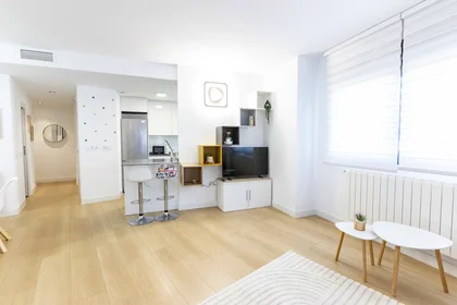 Entire apartment at Plaza las Fraguas, , image 7 of 10