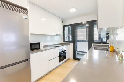 Entire apartment at Plaza las Fraguas, , image 10 of 10