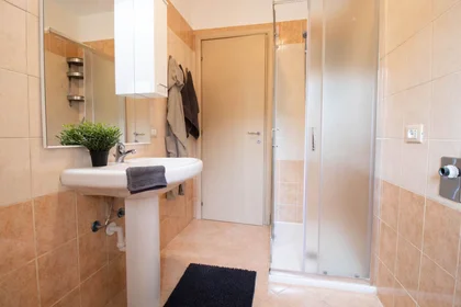 Private room at Via Contardo Ferrini, , image 6 of 10