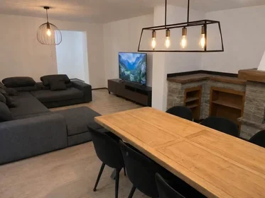 Private room at Place Elie Delferrière, Arrondissement of Charleroi, image 3 of 7