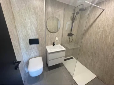 Private room at Place Elie Delferrière, Arrondissement of Charleroi, image 4 of 7