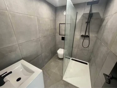 Private room at Place Elie Delferrière, Arrondissement of Charleroi, image 5 of 7