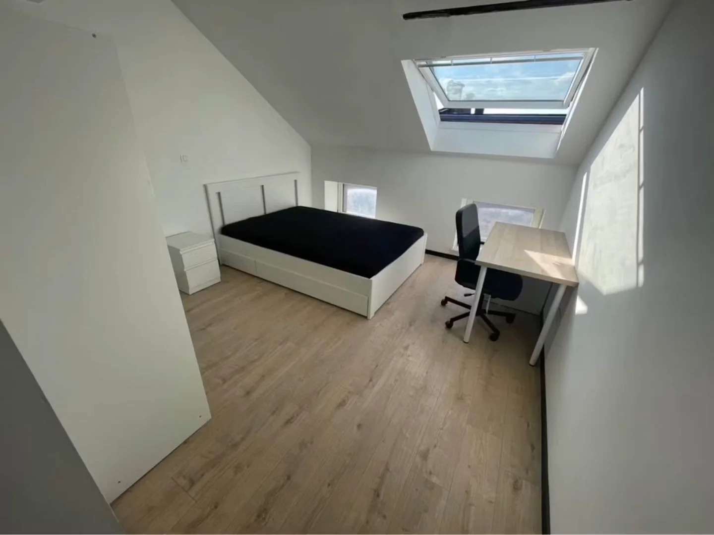 Comfortable and spacious student room in 