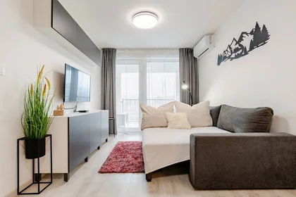 Logement entier à Ivanská cesta 36A, image 4 de 30
