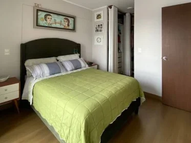 Całe miejsce Calle Francisco Graña 630, obraz 10 17