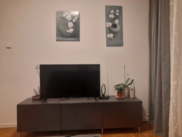 Całe miejsce Ulica Vladimira Ruždjaka 9B, obraz 16 33