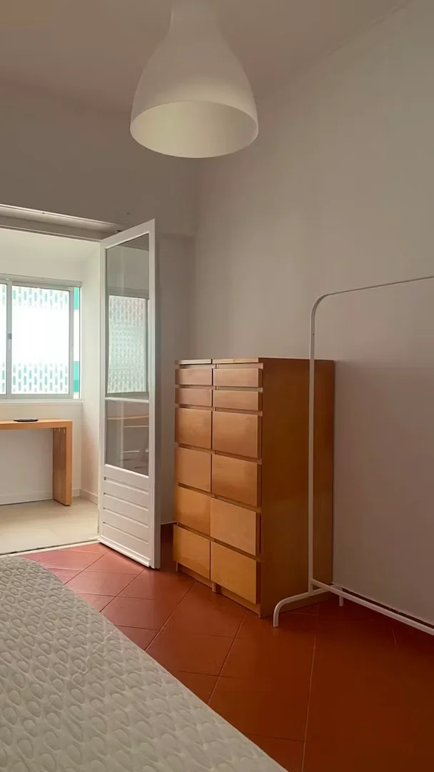 Affordable room for students with ample lighting in 