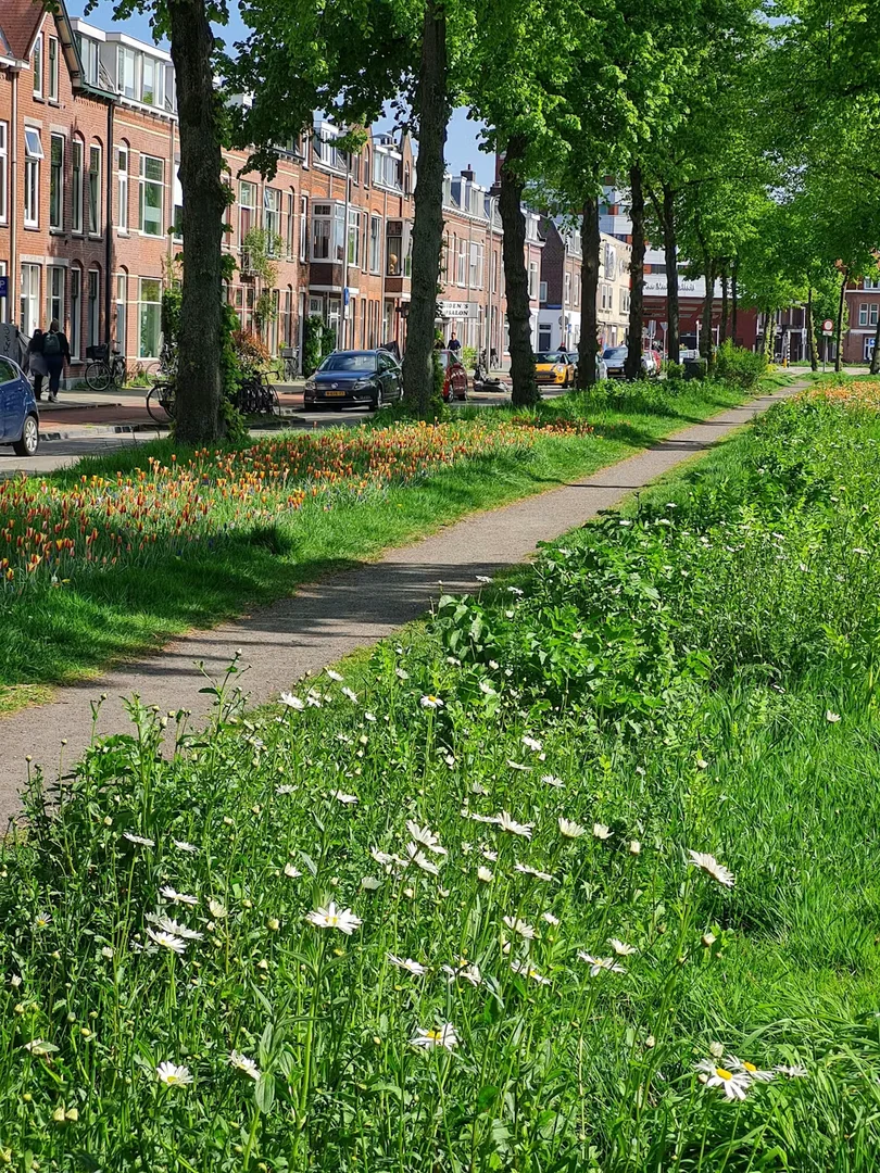 Croeselaan, Dichterswijk
