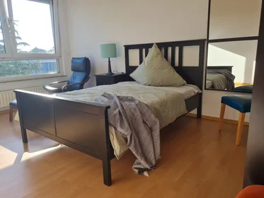 Private room at Alfred-Delp-Straße, Gonsenheim, image 1 of 10