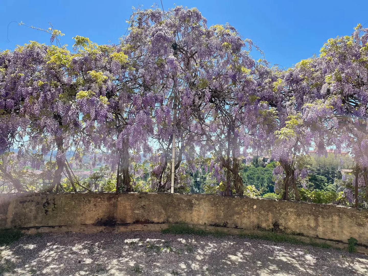 Via San Michele,