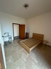 Stanza privata in Viale Felsina, Savena, immagine 5 di 10