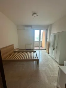 Stanza privata in Viale Felsina, Savena, immagine 7 di 10