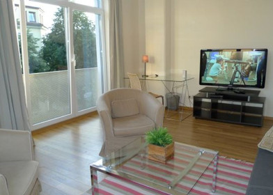 Accommodation with 3 bedrooms in Dresden