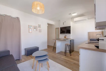 Prywatny pokój Cannes, 06400, obraz 13 13