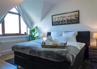 Luminoso e moderno appartamento a Wuppertal