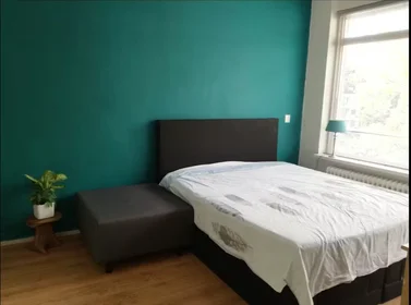 Privatzimmer in der De Lairesselaan, Kralingen-Crooswijk, bild 1 von 10