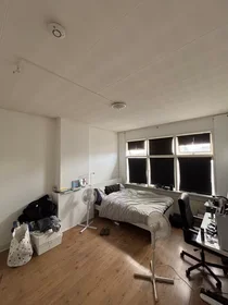 Habitación privada en Juliana van Stolberglaan, Haagse Hout, imagen 2 de 10