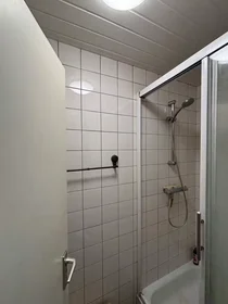 Habitación privada en Juliana van Stolberglaan, Haagse Hout, imagen 5 de 10
