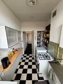 Habitación privada en Juliana van Stolberglaan, Haagse Hout, imagen 10 de 10