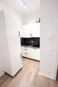 Logement entier à Neckarstraße, Ost, image 10 de 10