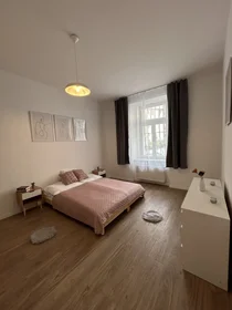 Gesamte Unterkunft in der Na Plzeňce 1237/3, bild 16 von 21