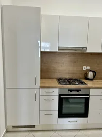 Gesamte Unterkunft in der Na Plzeňce 1237/3, bild 20 von 21
