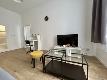 Gesamte Unterkunft in der Na Plzeňce 1237/3, bild 4 von 21