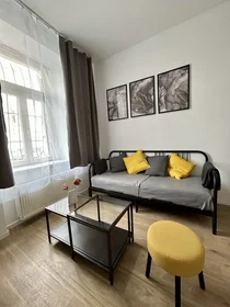 Gesamte Unterkunft in der Na Plzeňce 1237/3, bild 5 von 21