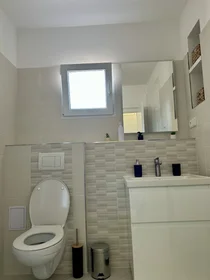 Gesamte Unterkunft in der Na Plzeňce 1237/3, bild 7 von 21