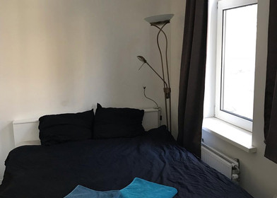 Entire fully furnished flat in Cardiff