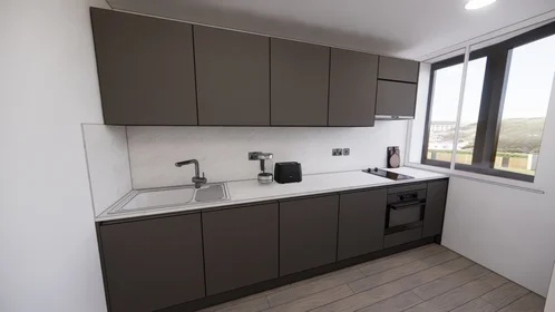 Całe miejsce w rezydencji Colston Ave, Bristol BS1 4TR, United Kingdom      , obraz 6 19