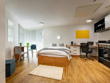 Private room in residence at Exeter One Cowley Bridge Rd, Exeter EX4 5FH, United Kingdom          , image 14 of 20