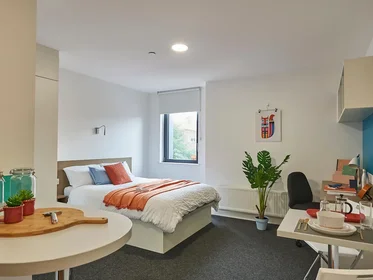 Appartamento intero in residence in Grand Felda House, Empire Way, Wembley Park, Wembley HA9 0EF, United Kingdom , immagine 4 di 20