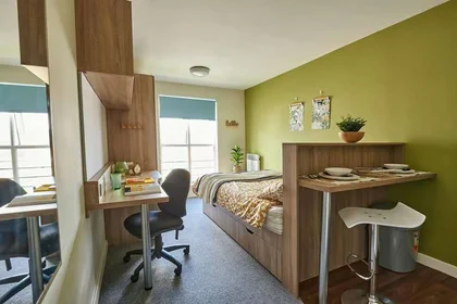 Özel oda Ikamet yerinde konumu selly Oak Court, 1 Sturge Cl, Selly Oak, Birmingham B29 6GH, United Kingdom           , 31 35 görüntüsü