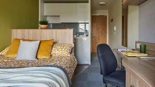 Stanza privata in residence in selly Oak Court, 1 Sturge Cl, Selly Oak, Birmingham B29 6GH, United Kingdom           , immagine 24 di 35