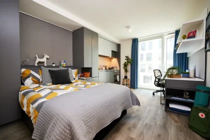 Studio at Strawberry Pl, Newcastle upon Tyne NE1 4PQ, United Kingdom      , image 1 of 10