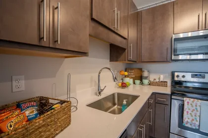 Estudio en residencia en 205 E Grand River Ave, East Lansing, MI 48823, United States, imagen 16 de 49