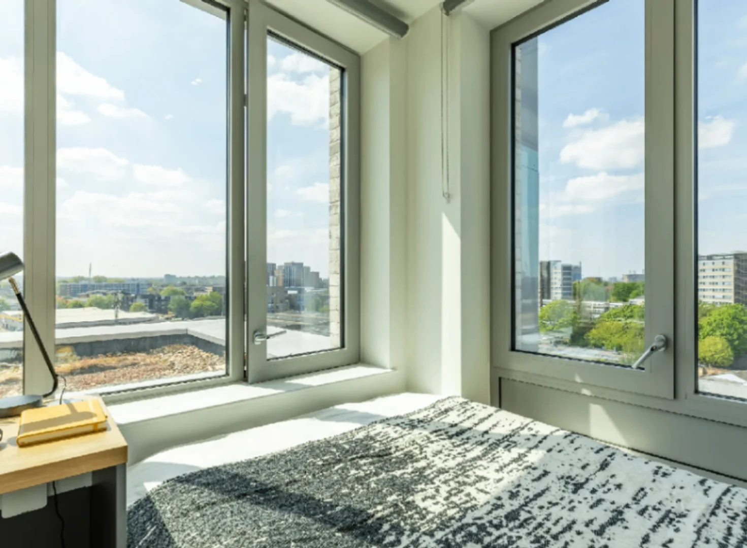 Affordable room for students with ample lighting in 