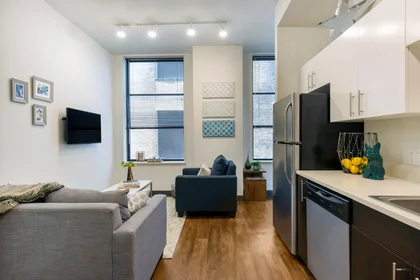 Appartamento intero in residence in  28 E Jackson Blvd, Chicago, IL 60604, United States, immagine 18 di 32