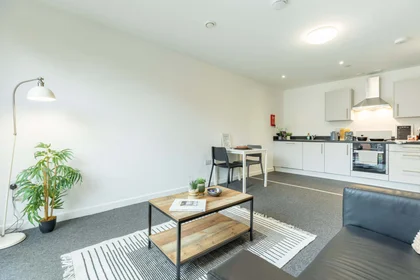 Appartamento intero in residence in 150 Ilkeston Rd, Nottingham NG7 3PB, United Kingdom, immagine 7 di 49