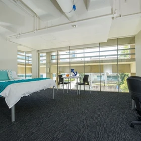 Logement entier en résidence à 74 Chandler St, Belconnen ACT 2616, Australia, image 22 de 31