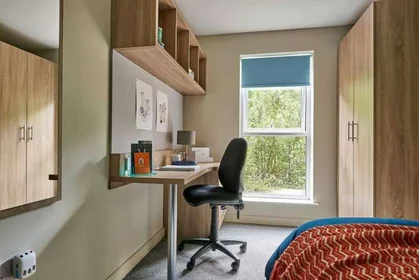 Özel oda Ikamet yerinde konumu selly Oak Court, 1 Sturge Cl, Selly Oak, Birmingham B29 6GH, United Kingdom           , 22 35 görüntüsü